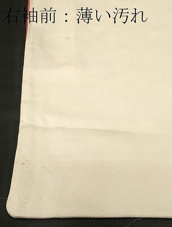 平和屋着物■訪問着　枝花文　金彩　正絹　逸品　CABL3696ev