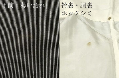 平和屋着物■上質な紬　縞　黒地　正絹　逸品　CABL3726ev