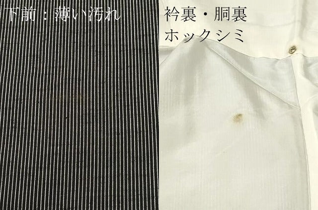 平和屋着物■上質な紬　縞　黒地　正絹　逸品　CABL3726ev