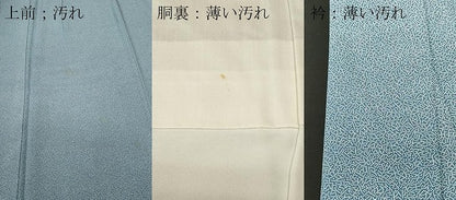 平和屋着物■江戸小紋　家内安全　正絹　逸品　CABL3740ev