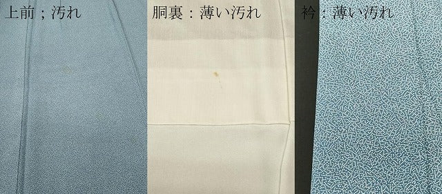 平和屋着物■江戸小紋　家内安全　正絹　逸品　CABL3740ev