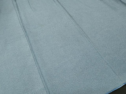 平和屋着物■江戸小紋　家内安全　正絹　逸品　CABL3740ev