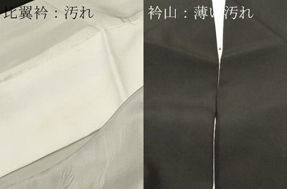 平和屋着物■訪問着　御所解文　暈し染め　金彩　正絹　逸品　CABL3750ev