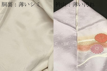 平和屋着物■訪問着　立波檜扇舞花文　暈し染め　金彩　正絹　逸品　CABL3751ev