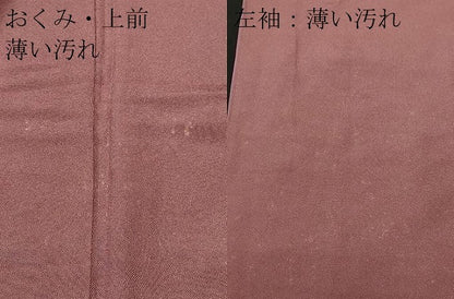 平和屋着物■江戸小紋　鮫小紋柄　正絹　逸品　CABL3781ev