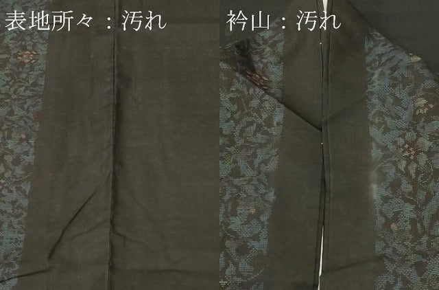 平和屋着物■本場大島紬　9マルキ　地空き　草花間道　正絹　逸品　CABL3800ev
