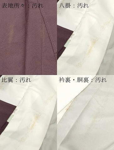 平和屋着物■豪華色留袖　駒刺繍　南天　群鶴花文　金銀彩　正絹　逸品　CABL3801ev