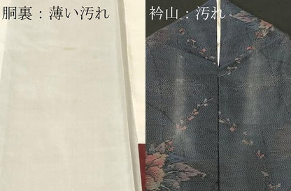 平和屋着物■本場大島紬　枝花文　正絹　逸品　CABL3808ev