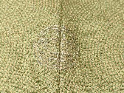 平和屋着物■訪問着　江戸小紋　鮫小紋柄　正絹　逸品　CABL3813ev