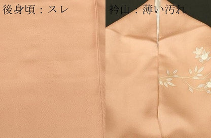平和屋着物■訪問着　扇面枝花文　金彩　正絹　逸品　CABL3822ev