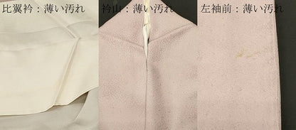 平和屋着物■豪華色留袖　蒔絵風家飛鶴文　暈し染め　正絹　逸品　CABL3826ev