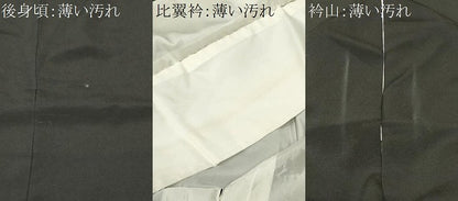 平和屋着物■豪華黒留袖　駒刺繍　地紙重ね鳳凰尾長鳥花文　銀彩　正絹　逸品　CABL3837ev