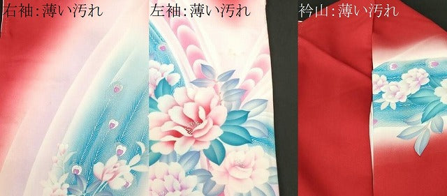 平和屋着物■豪華振袖　孔雀草花文　暈し染め　銀彩　正絹　逸品　CABL3839ev