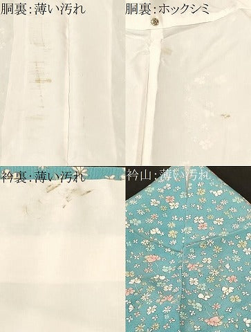 平和屋着物■長襦袢　無双仕立て　枝花文　正絹　逸品　CABL3846ev