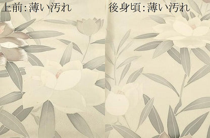 平和屋着物■訪問着　刺繍　枝花文　正絹　逸品　CABL3852ev