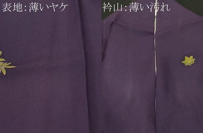 平和屋着物■豪華振袖　渡り橋流水扇面花文　暈し染め　金彩　正絹　逸品　CABL3862ev