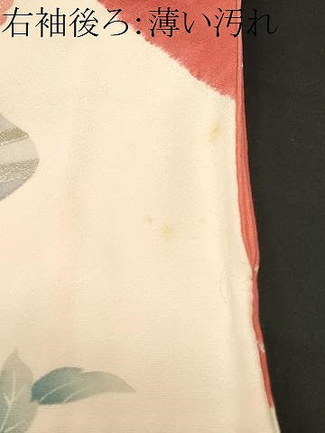 平和屋着物■豪華振袖　孔雀流水花文　暈し染め　銀彩　正絹　逸品　CABL3874ev