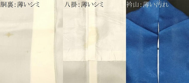 平和屋着物■訪問着　駒刺繍　エ霞扇面草花文　金銀彩　　正絹　逸品　CABL3904ev