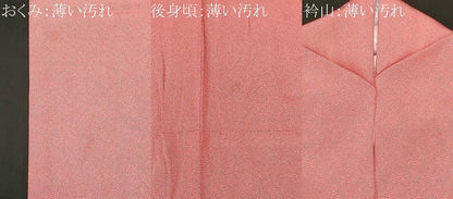 平和屋着物■江戸小紋　鮫小紋柄　正絹　逸品　CABL3920ev