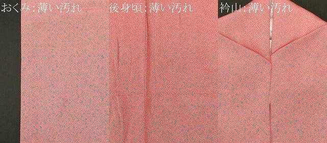 平和屋着物■江戸小紋　鮫小紋柄　正絹　逸品　CABL3920ev