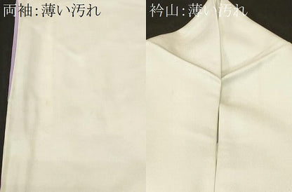 平和屋着物■訪問着　枝花文　暈し染め　正絹　逸品　CABL3949ev