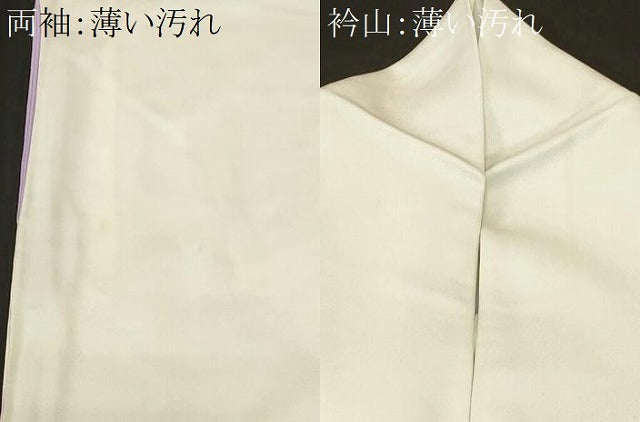 平和屋着物■訪問着　枝花文　暈し染め　正絹　逸品　CABL3949ev