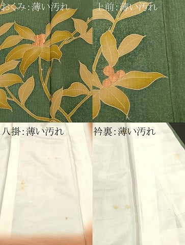 平和屋着物■上質な小紋　刺繍　南天文　暈し染め　正絹　逸品　CABL3954ev