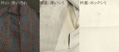平和屋着物■本場大島紬　亀甲文　正絹　逸品　CABL3959ev