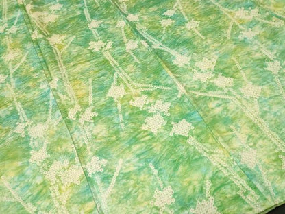 平和屋着物■上質な小紋　絞り　枝花文　暈し染め　正絹　逸品　CABL3974ev