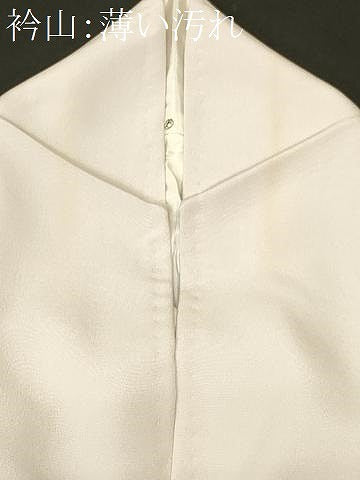 平和屋着物■訪問着　手描き　草花文　暈し染め　正絹　逸品　CABL3986ev
