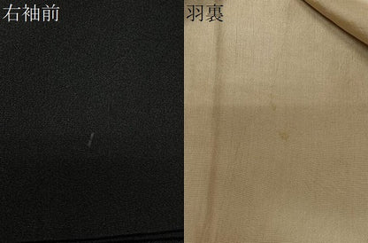 平和屋着物＃羽織　寿光織　花鳥文　黒地　金銀糸　正絹　逸品　CABL4017ua