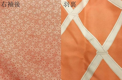 平和屋着物＃道行コート　花尽くし　正絹　逸品　CABL4092ua