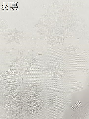 平和屋着物＃羽織　風景文　洗える着物　CABL4108ua