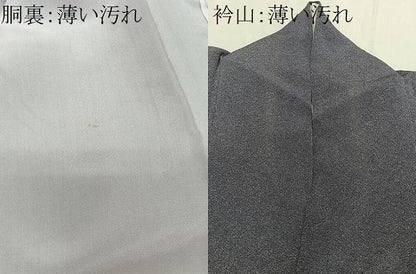 平和屋着物■江戸小紋　鮫小紋柄　鬼しぼ縮緬　正絹　逸品　CABL4356ua