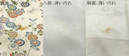 平和屋着物■訪問着　草花文　暈し染め　正絹　逸品　CABL4372ua
