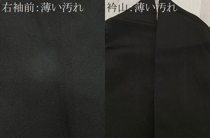 平和屋着物■豪華黒留袖　作家物　風景文　正絹　逸品　CABL4377ua