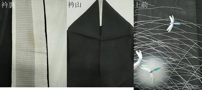 平和屋着物＊夏物　訪問着　絽　芝草トンボ　螢暈し　黒地　銀彩　正絹　逸品　CABL5602ou