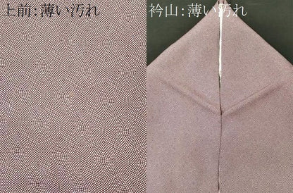 平和屋着物■江戸小紋　吉祥小紋柄　正絹　逸品　CABL5629ou