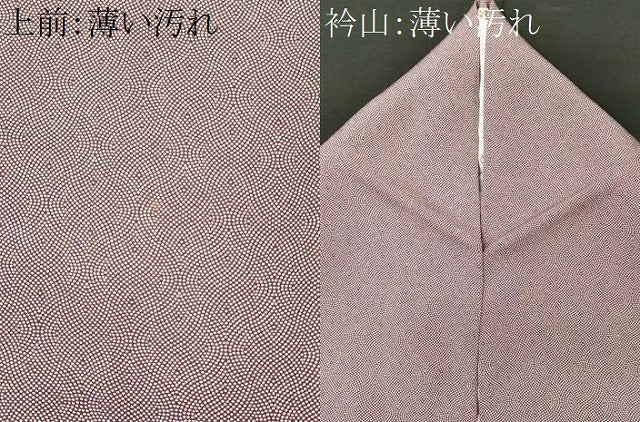 平和屋着物■江戸小紋　吉祥小紋柄　正絹　逸品　CABL5629ou