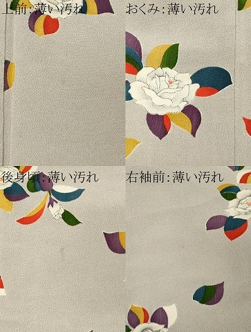 平和屋着物■上質な小紋　草花文　鬼しぼ縮緬　正絹　逸品　CABL5643ou