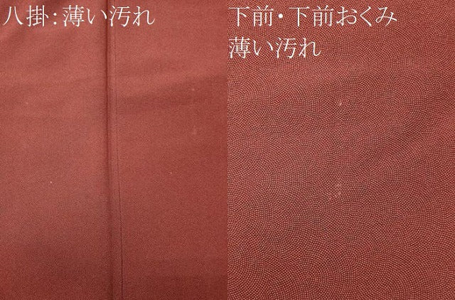 平和屋着物■江戸小紋　鮫小紋柄　正絹　逸品　CABL5647ou
