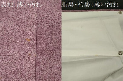 平和屋着物■江戸小紋　内田秀一　寄せ小紋柄　正絹　逸品　CABL5736oy
