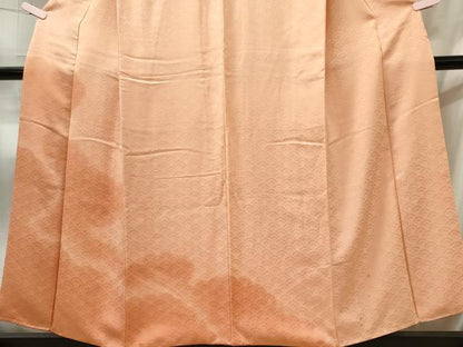 平和屋着物■訪問着　雲取り文　青海波地紋　正絹　逸品　CABL5740oy