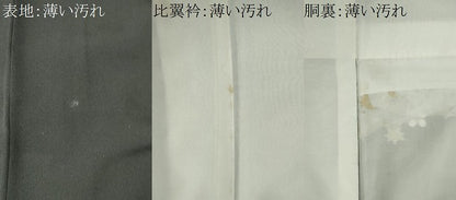 平和屋着物■豪華黒留袖　駒刺繍　扇面風景草花文　金彩　正絹　逸品　CABL5787ou