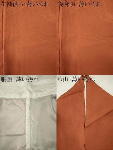 平和屋着物■上質な色無地　舞葉地紋　肉桂色　正絹　逸品　CABL5792ou