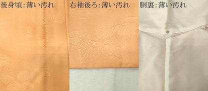 平和屋着物■上質な小紋　霞舞葉地紋　暈し染め　正絹　逸品　CABL5819ou