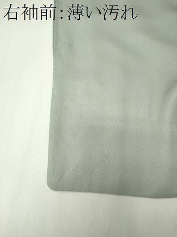 平和屋着物■訪問着　立波松文　金彩　正絹　逸品　CABL5825ou