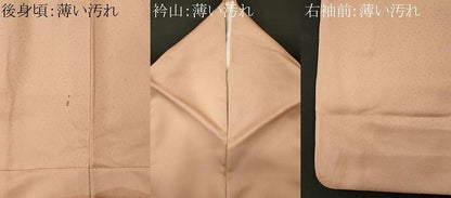 平和屋着物■訪問着　駒刺繍　舟草花文　暈し染め　金彩　正絹　逸品　CABL5840ou