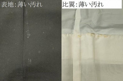 平和屋着物■豪華黒留袖　尾長鳥枝松文　金彩　正絹　逸品　CABL5872ou