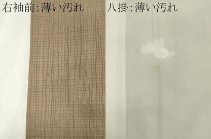 平和屋着物■上質な小紋　舞花文　金彩　正絹　逸品　CABL5904ou